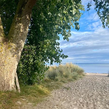 Feriendorf Südstrand Haus 35 Pelzerhaken Exterior foto